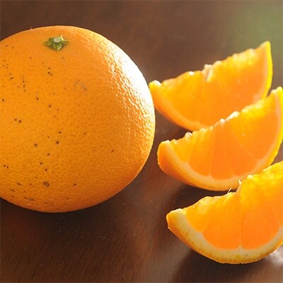 清見オレンジ5kg・サイズお任せ　まごころ産直みかんから農園直送!