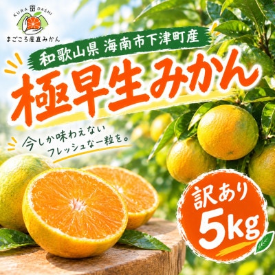 【訳あり】極早生みかん 5kg(和歌山・下津産)産地直送【サイズ混合】