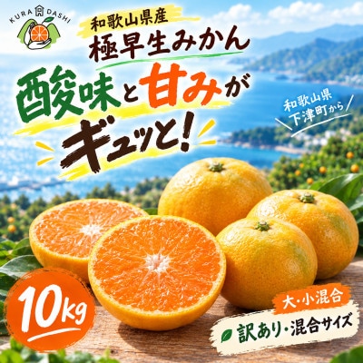 【訳あり】 和歌山極早生みかん 10kg 混合サイズ まごころ産直みかんより、和歌山県から産地直送!