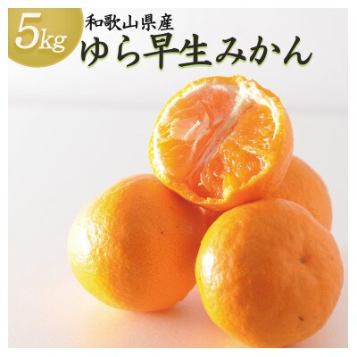 贈答用にも◎【赤秀】和歌山下津 ゆら早生 みかん 5kg(極早生みかん)|柔らか食感&濃厚な甘みの極