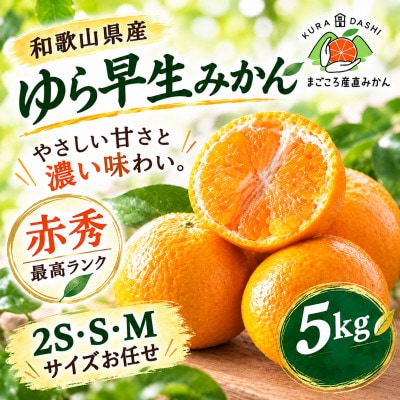 贈答用にも◎【赤秀】和歌山下津 ゆら早生 みかん 5kg(極早生みかん)|柔らか食感&濃厚な甘みの極
