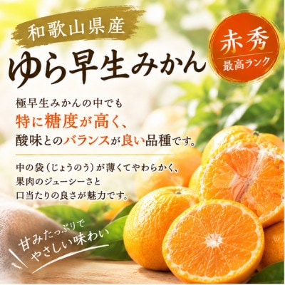 贈答用にも◎【赤秀】和歌山下津 ゆら早生 みかん 5kg(極早生みかん)|柔らか食感&濃厚な甘みの極