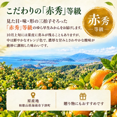 贈答用にも◎【赤秀】和歌山下津 ゆら早生 みかん 5kg(極早生みかん)|柔らか食感&濃厚な甘みの極