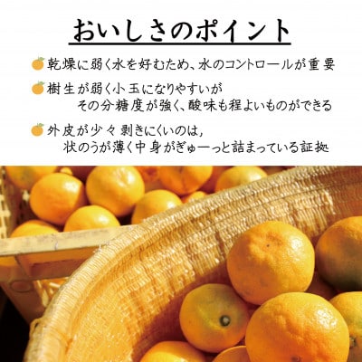 贈答用にも◎【赤秀】和歌山下津 ゆら早生 みかん 5kg(極早生みかん)|柔らか食感&濃厚な甘みの極