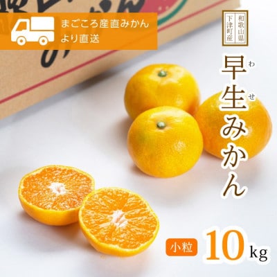 【小玉サイズ】早生みかん 10kg(S、2Sサイズ)和歌山・海南市産|産地直送【先行受付】