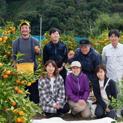 【小玉サイズ】早生みかん 10kg(S、2Sサイズ)和歌山・海南市産|産地直送【先行受付】