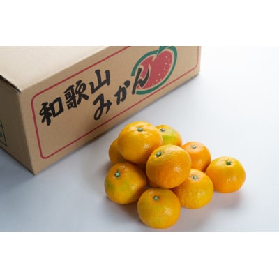【小玉サイズ】早生みかん 10kg(S、2Sサイズ)和歌山・海南市産|産地直送【先行受付】
