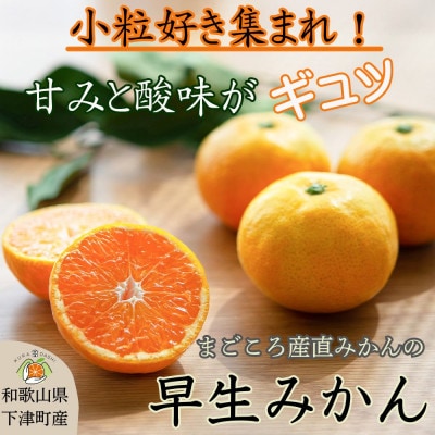 小粒早生みかん5kg (S～3S混合)和歌山県のまごころ産直みかんより新鮮な果実を産地直送します