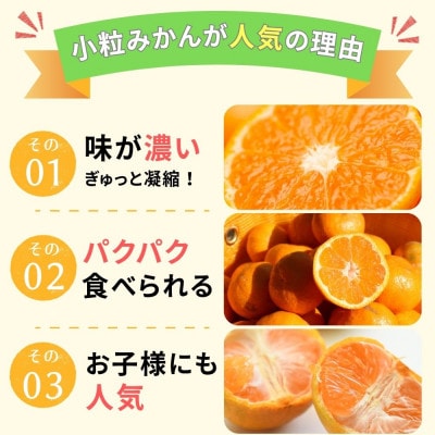 小粒早生みかん5kg (S～3S混合)和歌山県のまごころ産直みかんより新鮮な果実を産地直送します