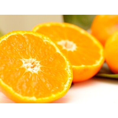 【2020年2月中旬～下旬発送】下津蔵出しみかん　家庭用5kg　大小混合