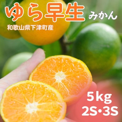 【ゆら早生】極早生みかん 5kg(和歌山・下津町産 )産地直送(2S・3Sサイズ)