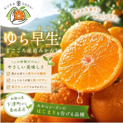 【ゆら早生】極早生みかん 5kg(和歌山・下津町産 )産地直送(2S・3Sサイズ)