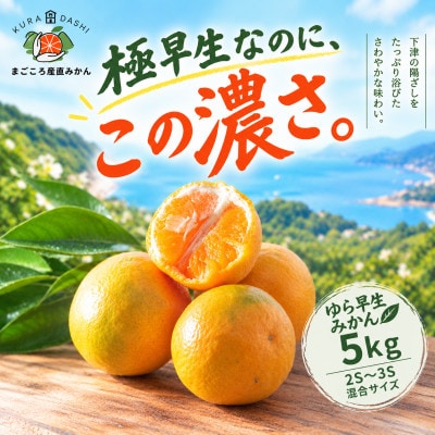 【ゆら早生】極早生みかん 5kg(和歌山・下津町産 )産地直送(2S・3Sサイズ)
