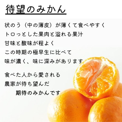 【ゆら早生】極早生みかん 5kg(和歌山・下津町産 )産地直送(2S・3Sサイズ)