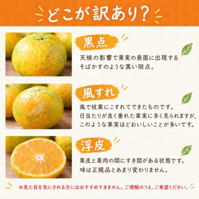 【ゆら早生】極早生みかん 5kg(和歌山・下津町産 )産地直送(2S・3Sサイズ)