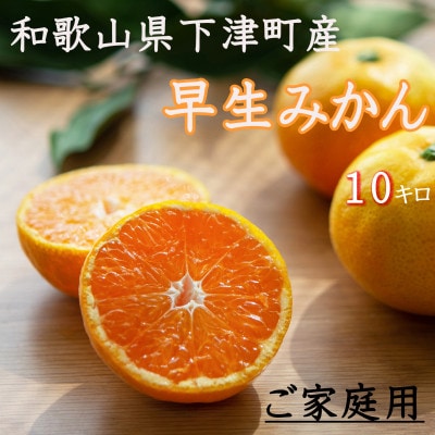 【11月～1月発送】早生みかん10kg　ご家庭用混合サイズ【訳あり】和歌山県下津町まごころ産直みかん