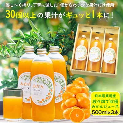 私たちが育てた果汁100%　みかんジュース　500ml×3本　まごころ産直みかんより直送