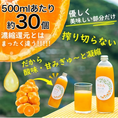 私たちが育てた果汁100%　みかんジュース　500ml×3本　まごころ産直みかんより直送