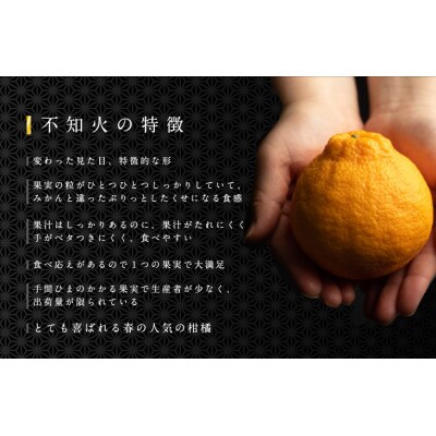不知火(和歌山のデコ)3kg大玉(9～11玉)秀品 まごころ産直みかんより農園直送!