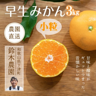 みかん　小粒サイズ
