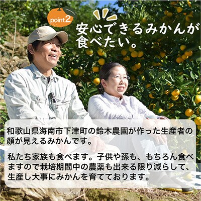 みかん　小粒サイズ