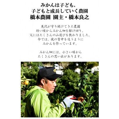 【訳あり】早生みかん 5kg(和歌山・下津町産)橋本農園直送【サイズ混合】