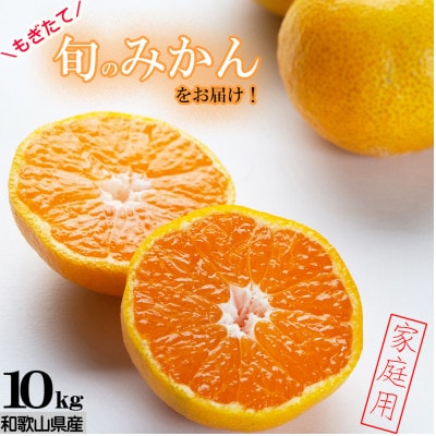 【和歌山みかん】10kg大小混合サイズ 【訳あり】 まごころ産直みかんより農園直送