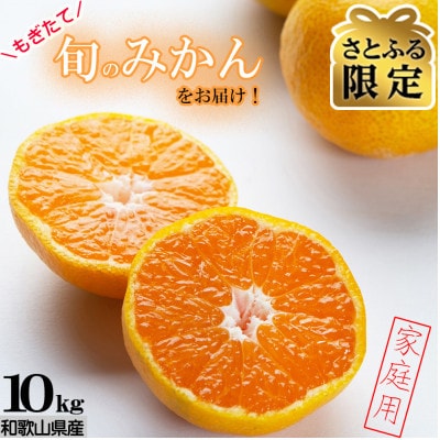 【さとふる限定】【和歌山みかん】10kg大小混合サイズ 【訳あり】 まごころ産直みかんより農園直送