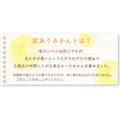 【和歌山みかん】10kg大小混合サイズ 【訳あり】 まごころ産直みかんより農園直送