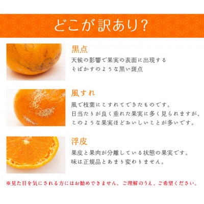 【和歌山みかん】10kg大小混合サイズ 【訳あり】 まごころ産直みかんより農園直送