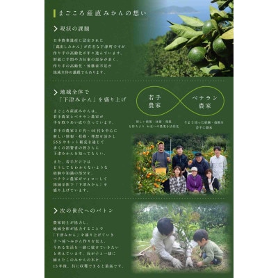 【和歌山みかん】10kg大小混合サイズ 【訳あり】 まごころ産直みかんより農園直送