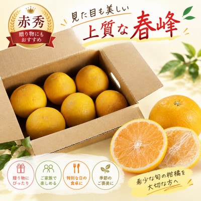 「春峰(しゅんぽう)」3kg　和歌山生まれの希少品種、3月より春の柑橘を順次発送予定!