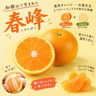 「春峰(しゅんぽう)」5kg　和歌山生まれの希少品種、3月より春の柑橘を順次発送予定!