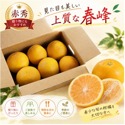「春峰(しゅんぽう)」5kg　和歌山生まれの希少品種、3月より春の柑橘を順次発送予定!