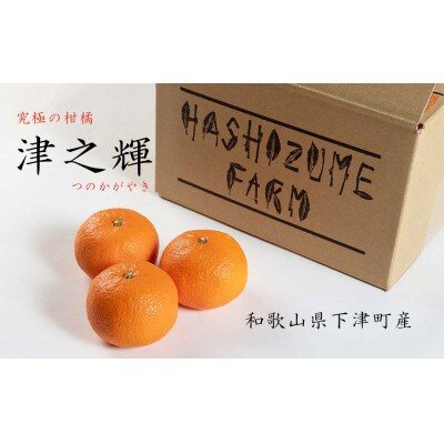 「津之輝(つのかがやき)」3kg　濃厚な甘みと芳醇な香り。3月より春の柑橘を順次発送予定!