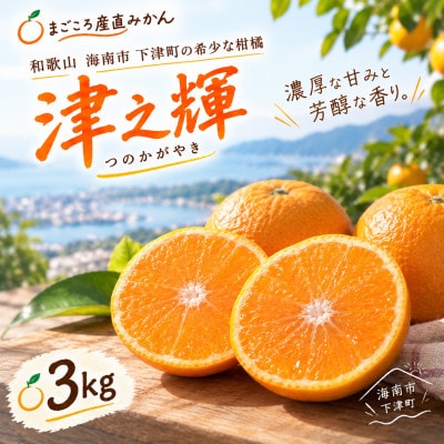 「津之輝(つのかがやき)」3kg　濃厚な甘みと芳醇な香り。3月より春の柑橘を順次発送予定!