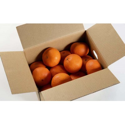 「津之輝(つのかがやき)」3kg　濃厚な甘みと芳醇な香り。3月より春の柑橘を順次発送予定!