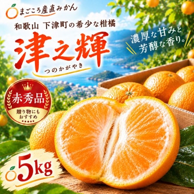 「津之輝(つのかがやき)」5kg　濃厚な甘みと芳醇な香り。3月より春の柑橘を順次発送予定!