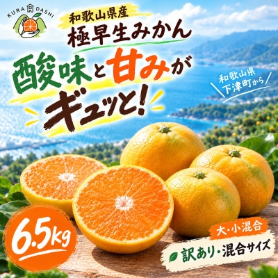 【訳あり みかん】6.5kg 混合サイズ(極早生・和歌山県下津産)2026年10月より順次発送