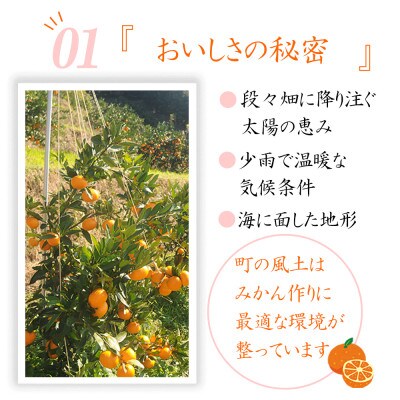 【小粒サイズ】極早生みかん 5kg(S・2Sサイズ)|和歌山・海南市産|産地直送【先行受付】