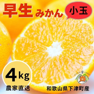早生みかん 4kg|和歌山・海南市産|産地直送【小粒サイズ】