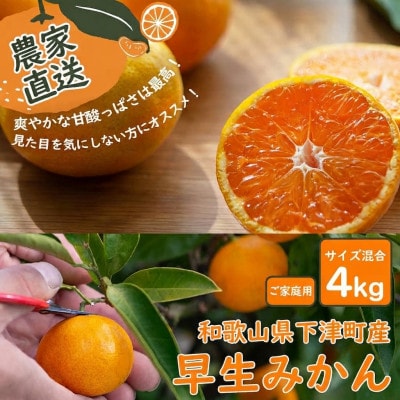 【訳あり】早生みかん 4kg|和歌山・海南市産|産地直送【混合サイズ】