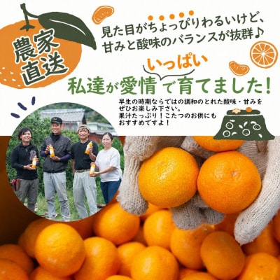 【訳あり】早生みかん 4kg|和歌山・海南市産|産地直送【混合サイズ】