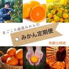 【発送月固定定期便】みかん定期便　和歌山県下津町から農園直送!まごころ産直みかん全5回