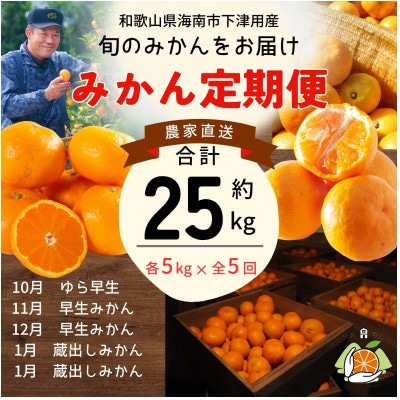 【発送月固定定期便】みかん定期便 合計25kg 和歌山県下津町から農園直送!まごころ産直みかん全5回