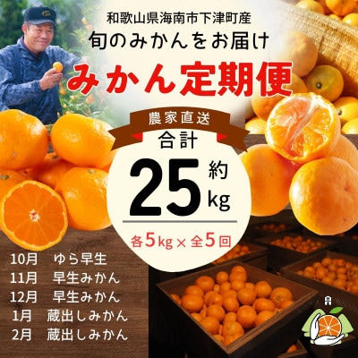 【発送月固定定期便】みかん定期便 合計25kg 和歌山県下津町から農園直送!まごころ産直みかん全5回