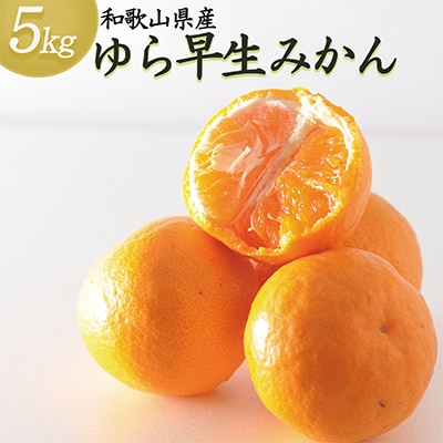 【発送月固定定期便】みかん定期便　和歌山県下津町から農園直送!まごころ産直みかん全5回