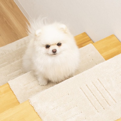 洗える階段マット　22×45cm　ベージュ　5枚組　ピタペトモ　犬・猫　吸着