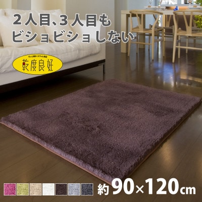 乾度良好 Dナチュレ バスマット 約90×120cm ブラウン 吸水速乾 裏面すべり止め加工