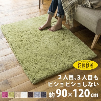乾度良好 Dナチュレ バスマット 約90×120cm グリーン 吸水速乾 裏面すべり止め加工